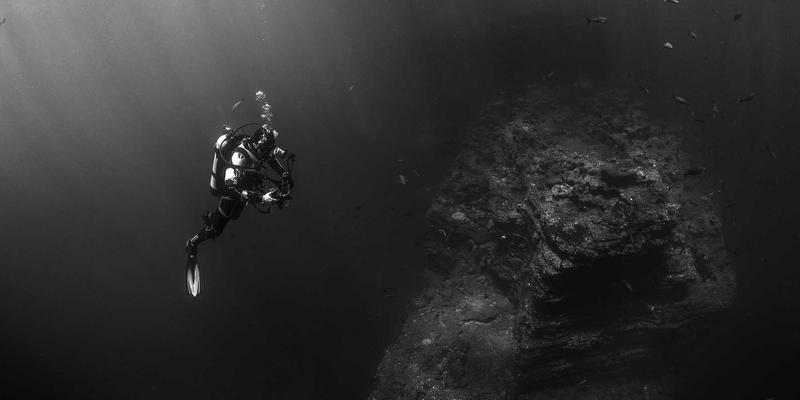 区块链:重塑网络技术与资源分享的可信基石