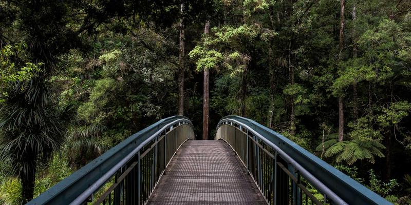 告别手动排查：自动化网络性能监控与故障诊断的编程实战指南